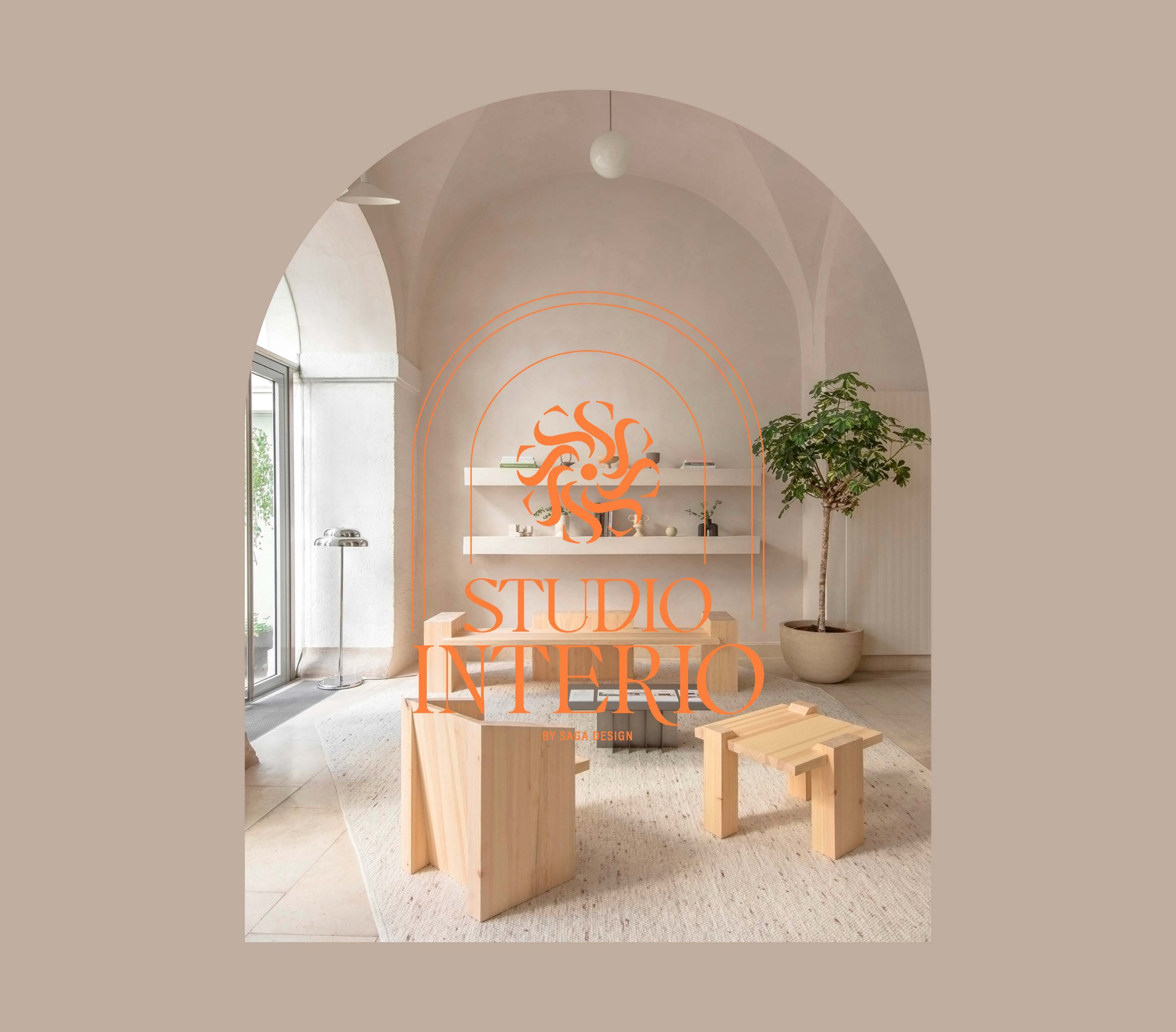 Project V1 Single Image